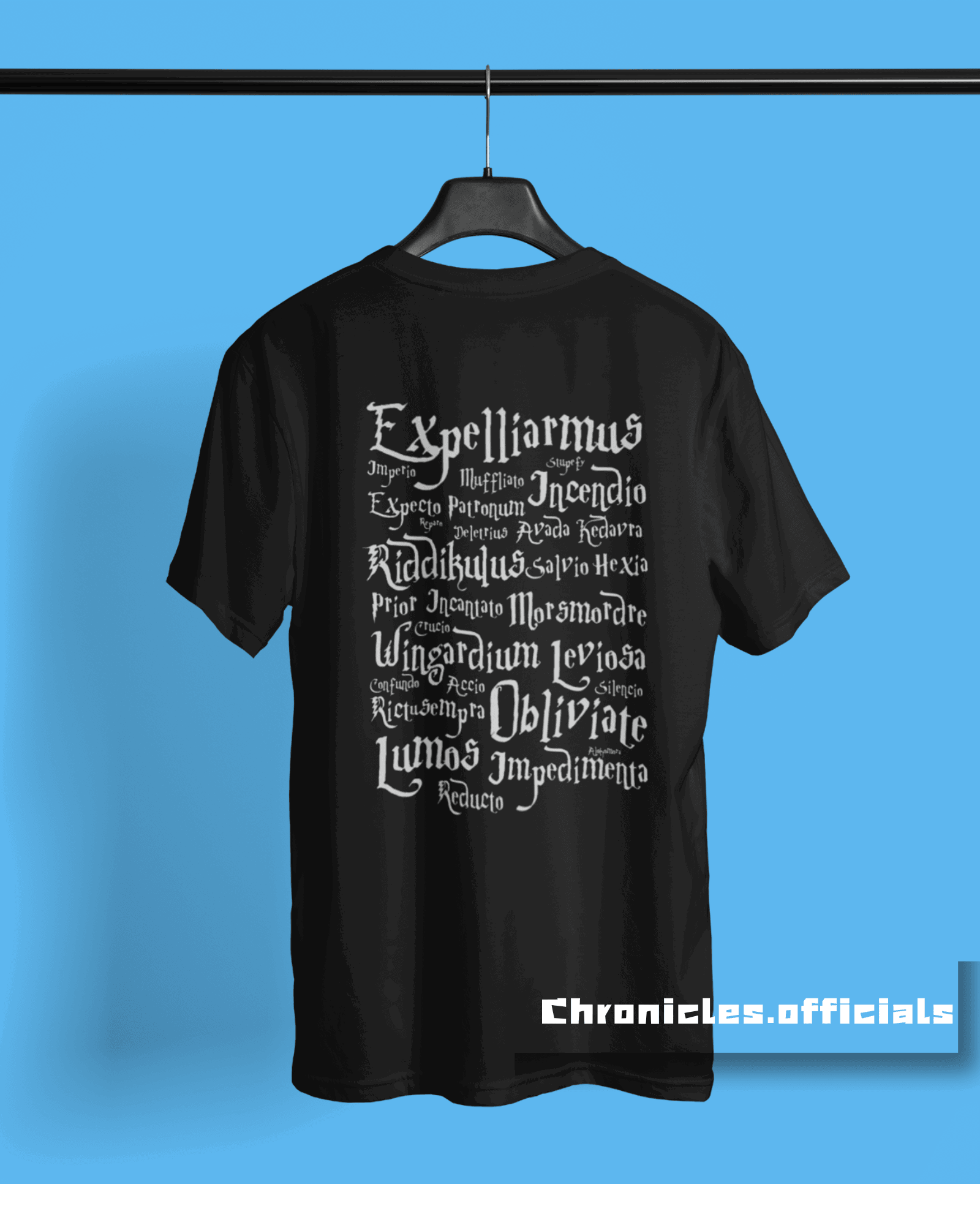 Hogwartz Day 'Harry Potter'  | Oversized T-Shirt | WB Official - CHRONICLES